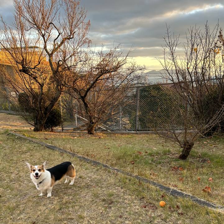 C2777292 e590 4dd0 8e12 dca013e24fc6 1765532391206