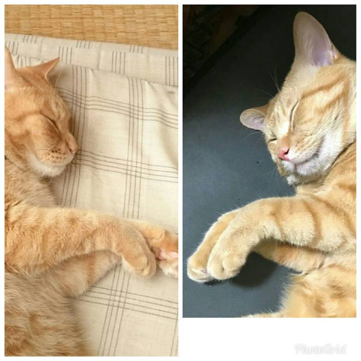 C277b72a 5090 4297 9817 76310ce17c50 1536647690725