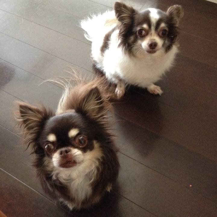 C27829d7 cd13 4a86 bd8f 750ea9241cfe 1521671075484