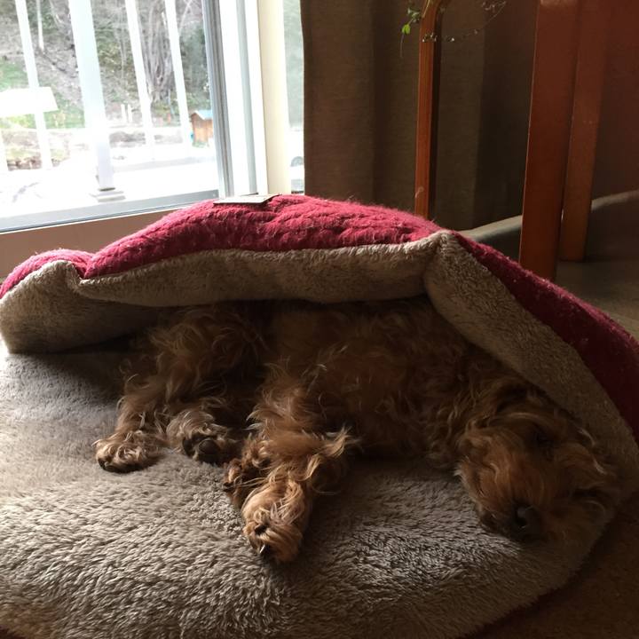 C27872ab 8655 4449 9d49 2d146580cda4 1524386646475