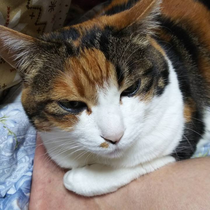 C2788689 9131 4e05 b4f9 032063fd01c1 1548598587278