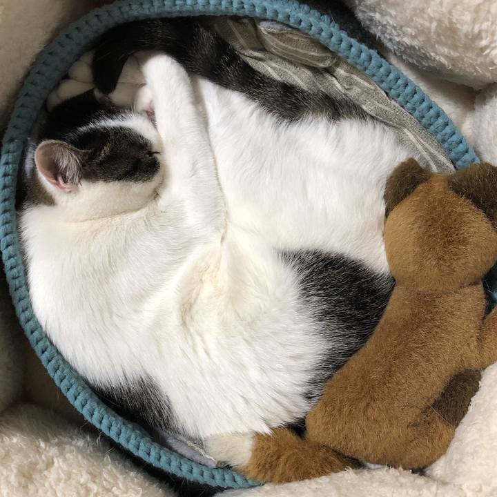 C2789bde dc78 40e8 b519 29af91fd2c77 1620555523879