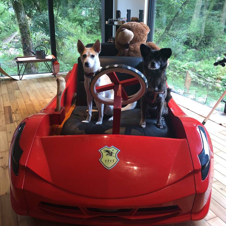 C278cae8 02eb 4601 bb55 166984943aca 1599213941480