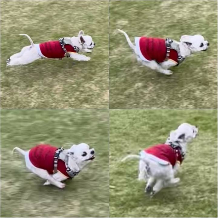 C278db73 3a1a 4817 8e3b 0b1df46de6cc 1732093573548