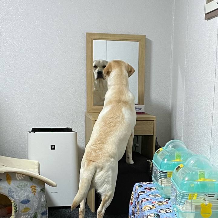 C2791450 ce71 415d 863a 8520b32b146b 1638016644091