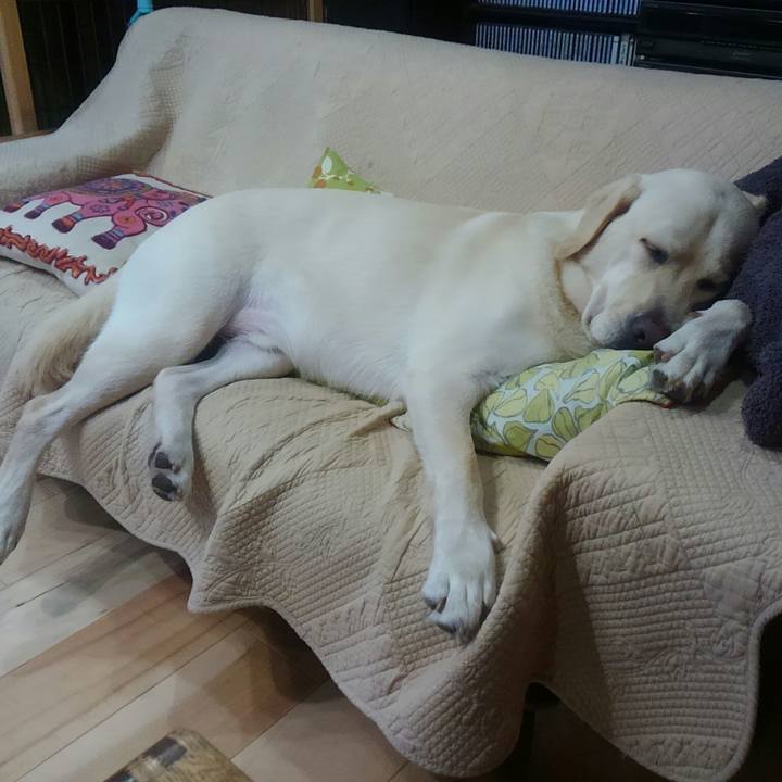 C279364a 0453 4c8f b53e 7a31a14763d6 1507707269978