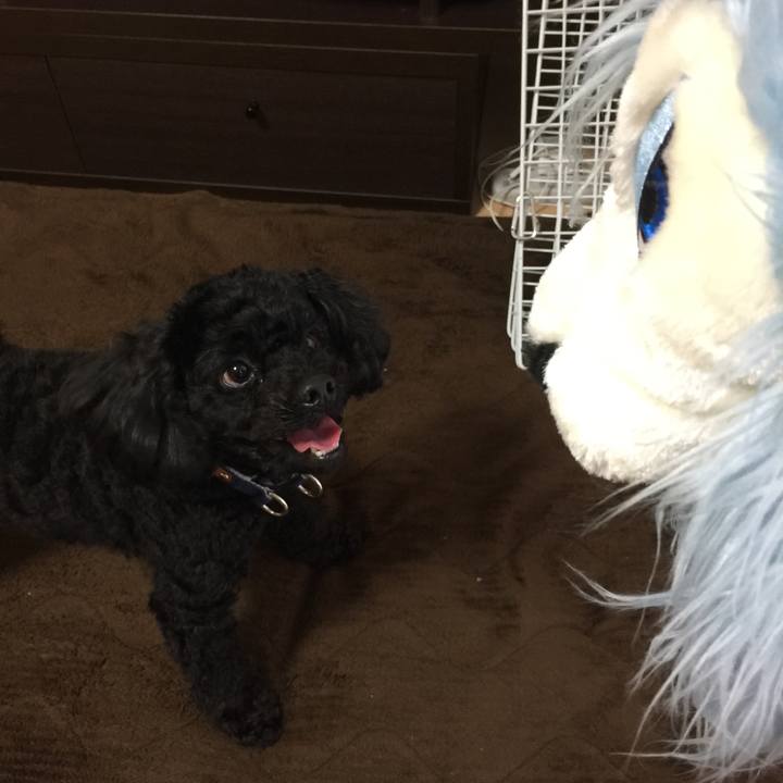 C2793a1a 5e23 486e 8ca0 b6263b224585 1520571865328