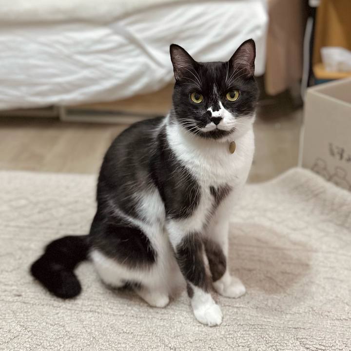 C279564a f69d 42ec b802 78a94df6c51f 1764254873747