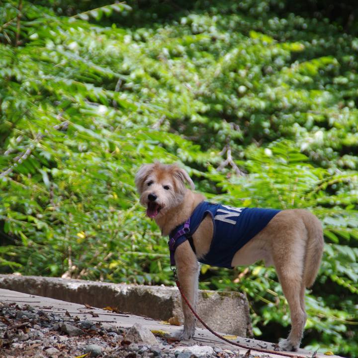 C27981b7 e3fd 4305 9dd3 013b5c152bfa 1597216123383