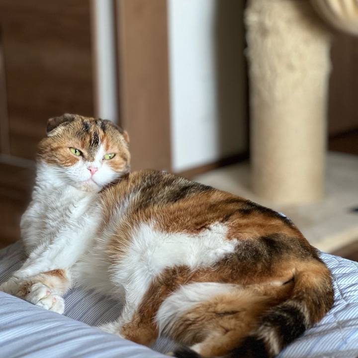 C279a3c7 233f 42e0 80bc 1034fdd78a7d 1714794188727