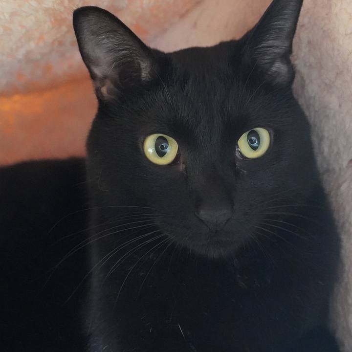 C279c400 4b98 49f3 bd47 8cef48af43d1 1601769162594