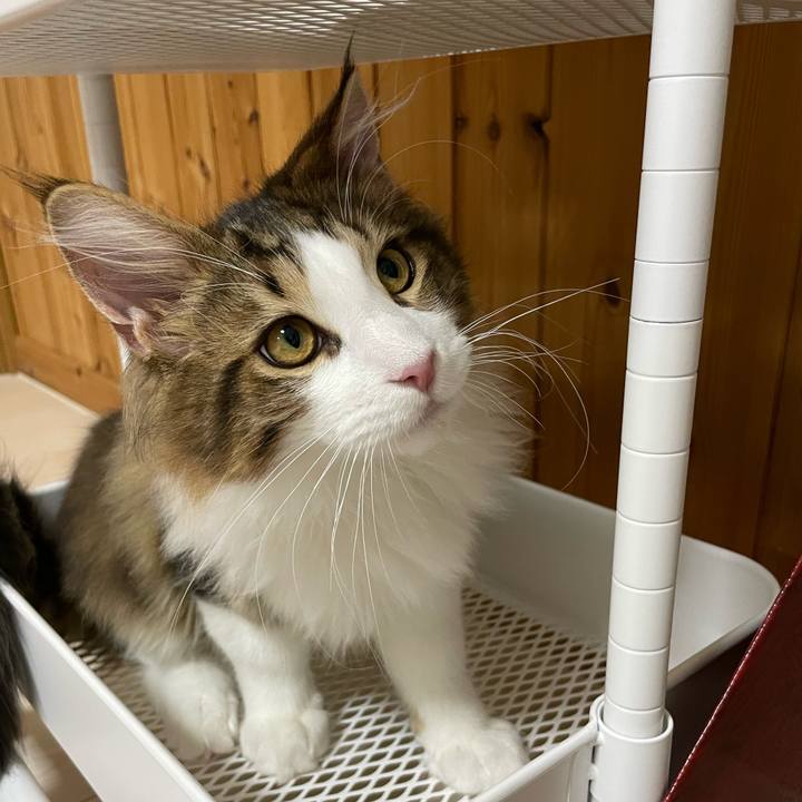 C279cb2b 0c41 4aad bb30 b6d8fa96f688 1638002718591