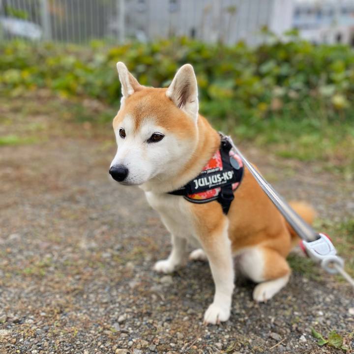 C279f384 d329 4bac 9f02 b522f3273045 1666582781116