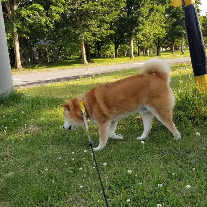 C27a0db1 78fc 43ac 8a95 5e70cd1e5427 1685432869761