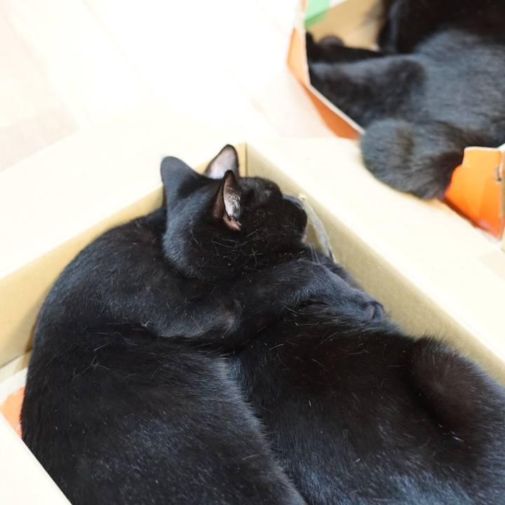 C27a289b 7796 4a04 a61a 6b2908bdd188 1528632314146