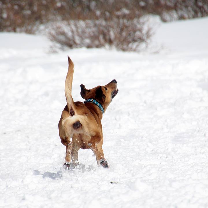 C27a39b6 4543 4931 9889 520583596394 1519793010451