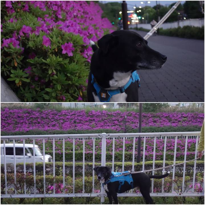 C27a9112 cca7 4688 aa26 b0398a698a52 1682248543526