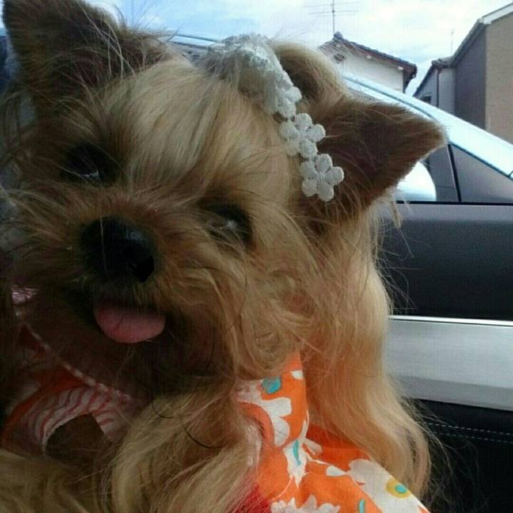 C27aac7b bc68 434f 8685 fa95911a9a54 1536562168478