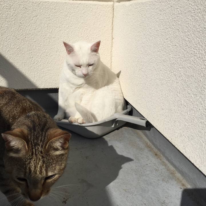 C27acc9d 0e37 46bd a64e 793feea3f5e0 1528929612105