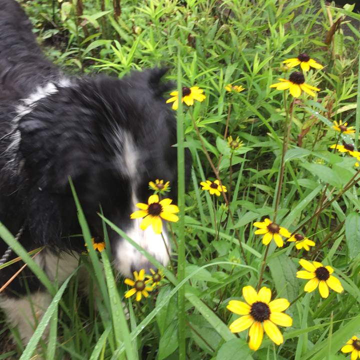 C27af5e4 3e10 4623 b376 0b725c1419d9 1566260521076