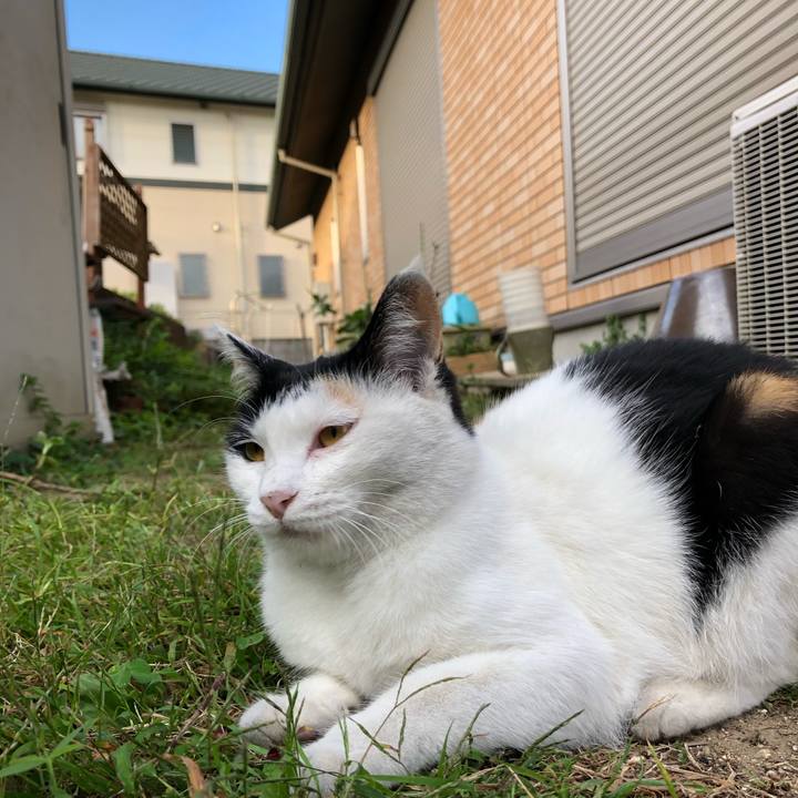 C27b10fe 08ed 432b a07c 85645de18645 1602195600013