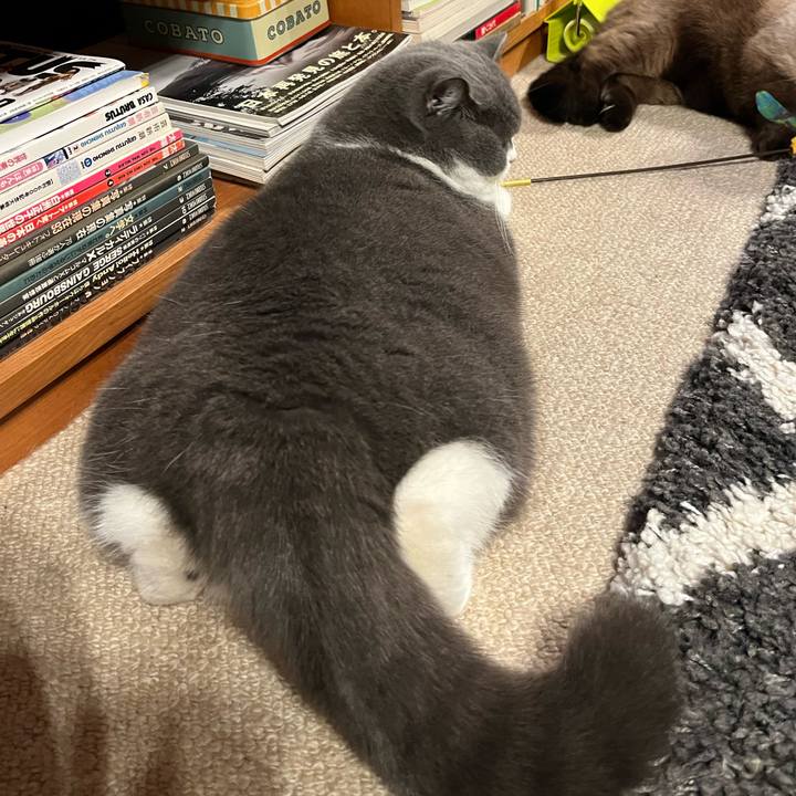 C27b2a77 be12 4b40 8d64 a94929c69df9 1639484890086