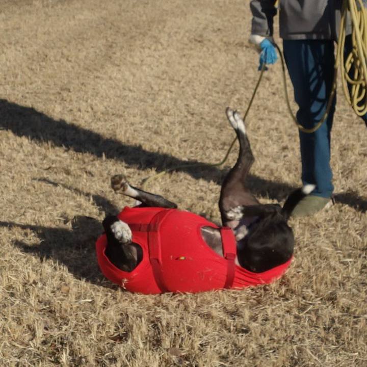 C27bb6cc f953 4b66 82f8 1fbd7a7f3111 1675913104763