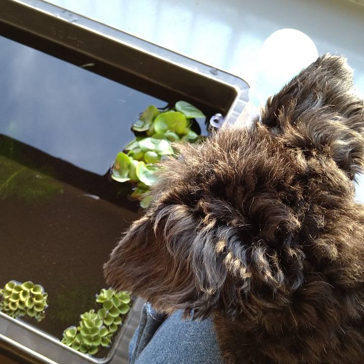 C27bb753 ac47 426c 9efd fe32f339efb1 1619253867799