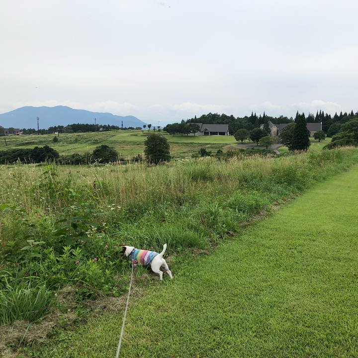 C27bf560 081f 4cc7 b908 c12054f89446 1566888617707