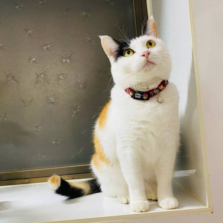 C27c32d4 05bb 443e adb4 fe3a9d4dde8f 1669637203049