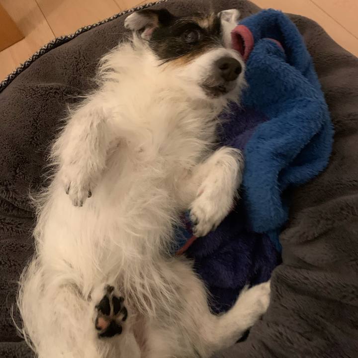 C27c4342 8b2a 47e4 8c61 391c360208d5 1746797487503