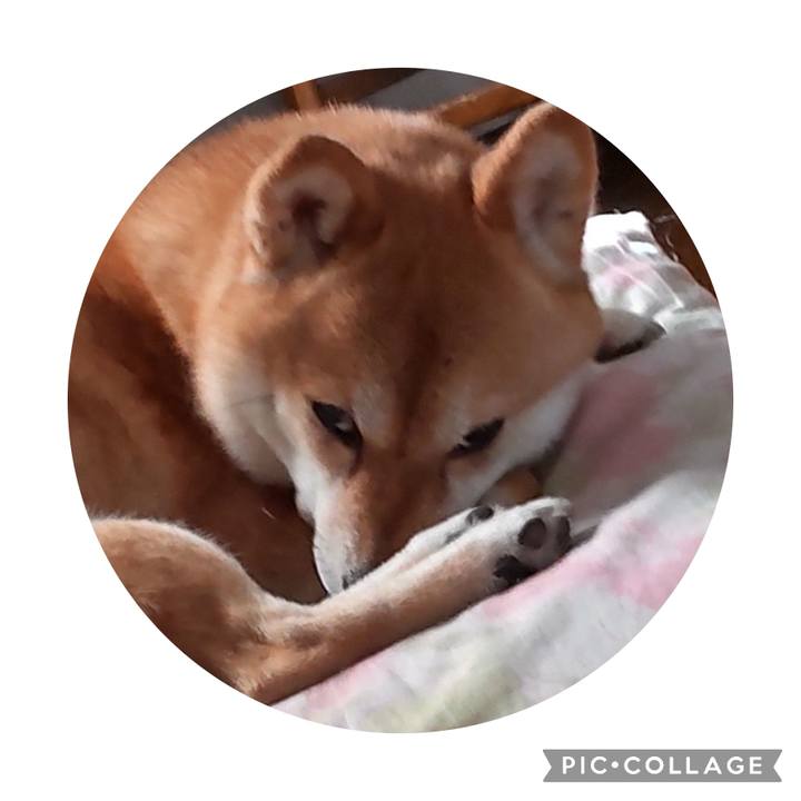 C27c496f 967b 49d5 886f 983957f03704 1719990286416