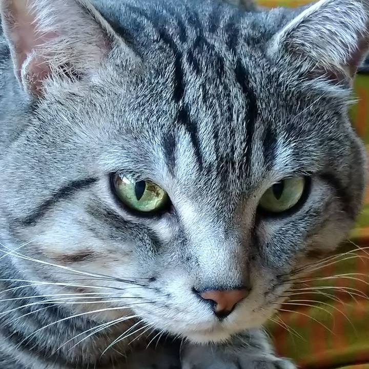 C27c5777 1e71 44e9 bcef 1ba2b63a96c1 1673068032800