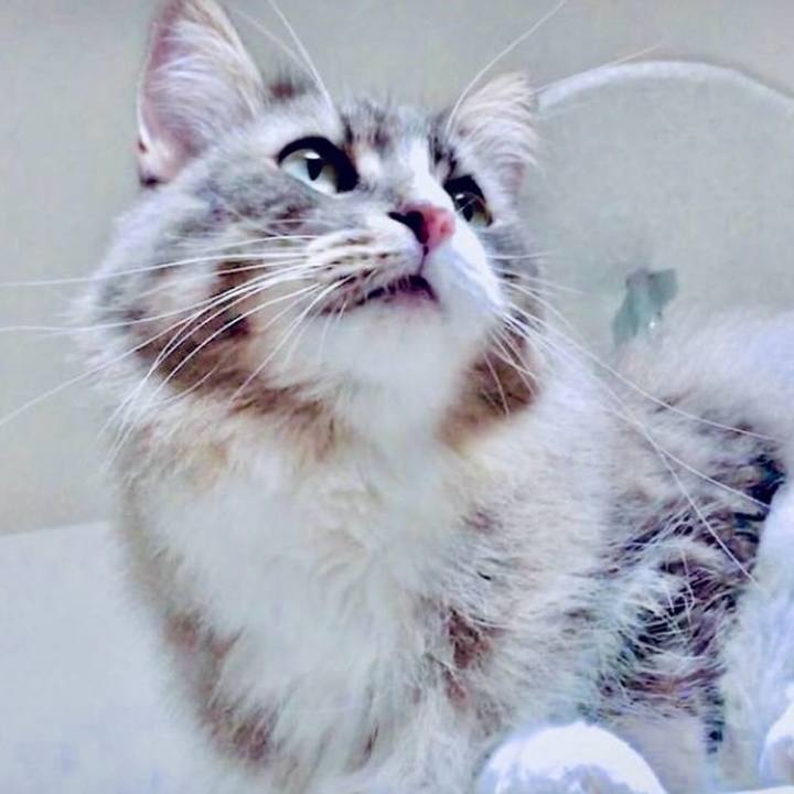 C27ca5a7 6ce3 4e27 a5b5 f64de10e950b 1748885435330