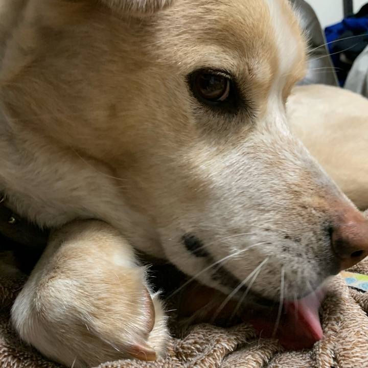 C27cb38e ffb1 47a3 972a ab3ab5d0f914 1583639083579