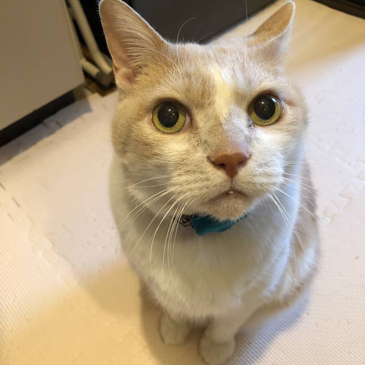 C27cb99c ec4d 4c57 834e ac19dea501c3 1612823727732