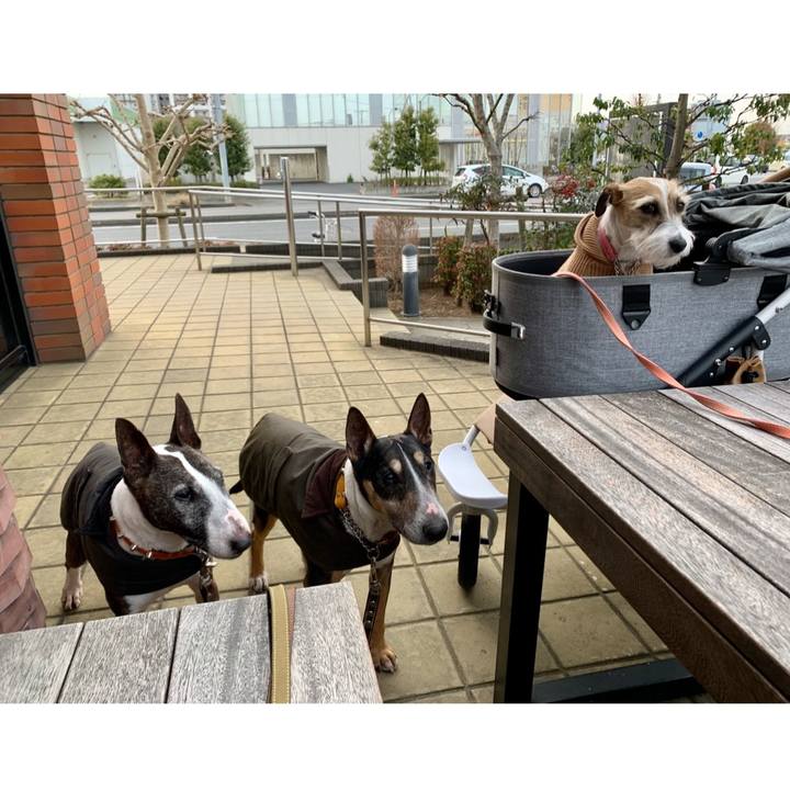 C27d2bde 9e18 42df af35 424c99cb6f1a 1613128397100