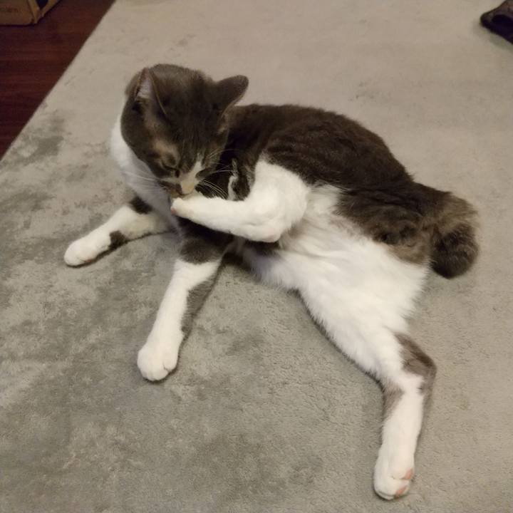 C27d4835 b49d 4d17 91f4 4d5fd3992e42 1611835977154