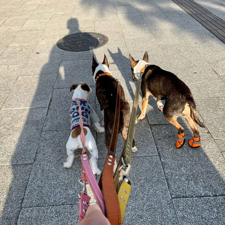 C27d6f6a 05e9 4978 9787 9fe9d66a124f 1619266196354