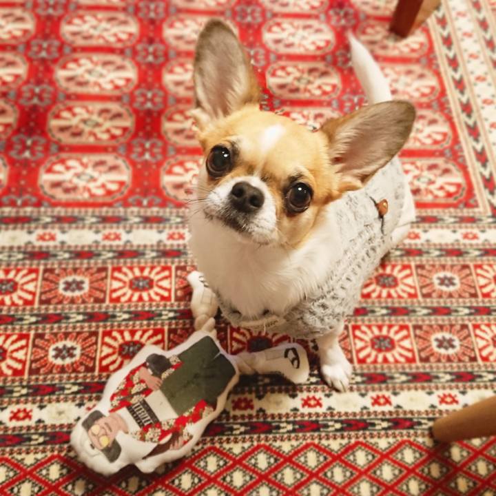 C27d9145 f0c5 45af 93c2 87e10ad518e3 1580026766850