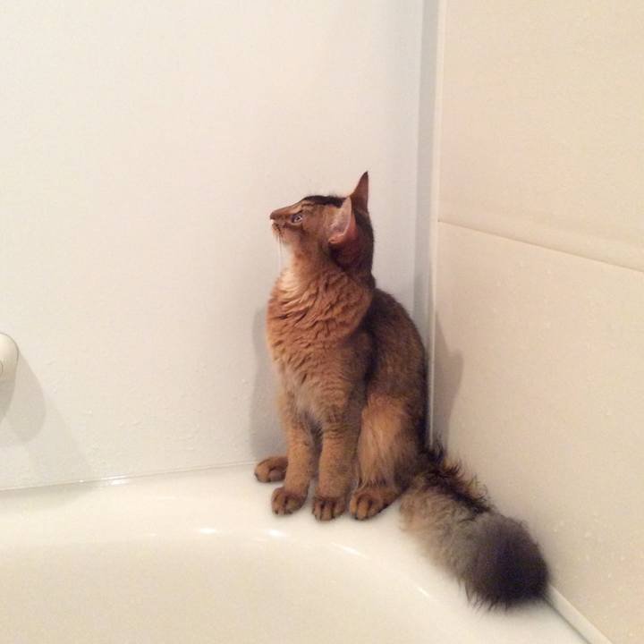 C27d99b9 2bf0 400b ba5a 5e5436a61fca 1566913258822