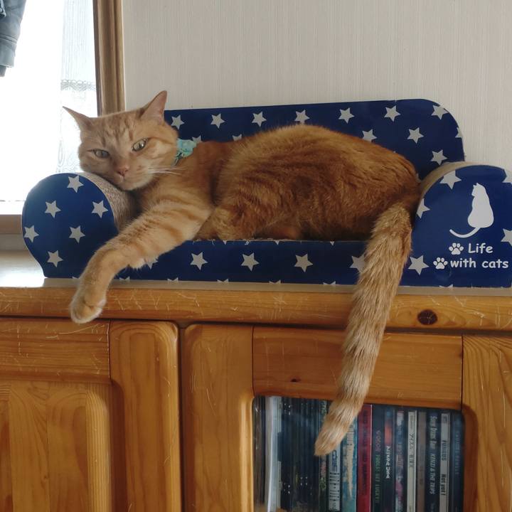 C27da8e0 dd6a 486d 92c4 9476aef1da43 1747724333756