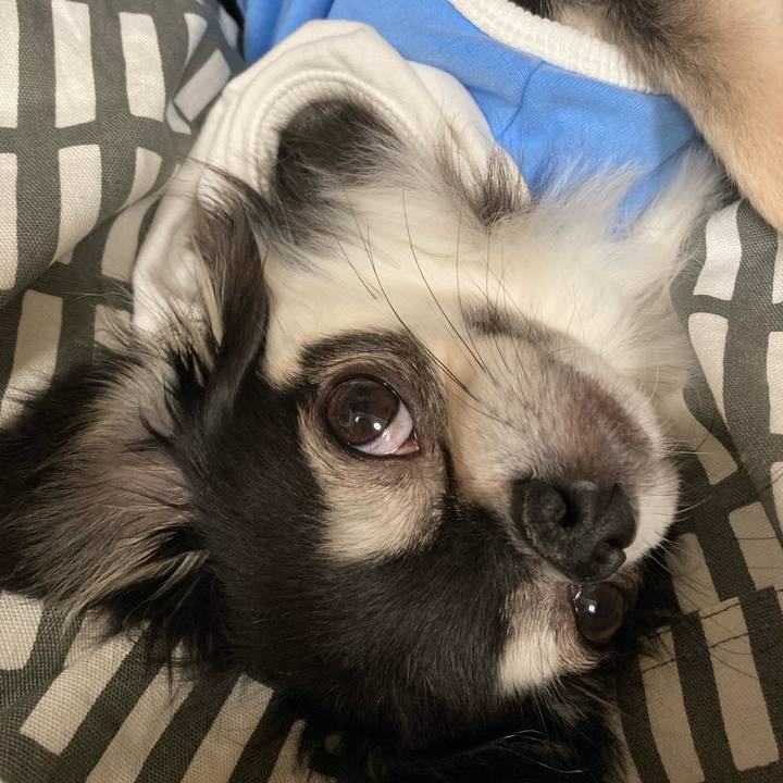 C27debf8 a91a 4996 ae26 787af5b24b6d 1650203557097