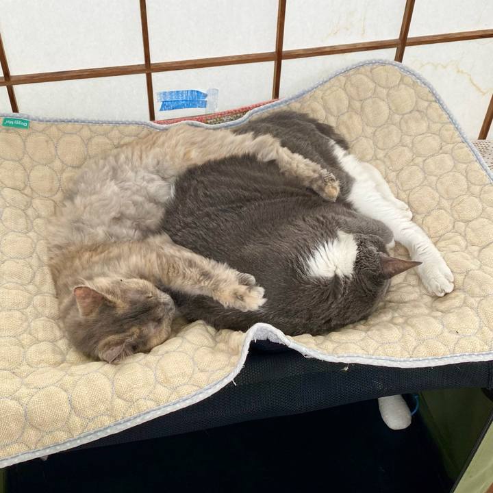 C27df0cf 720a 4cdf be23 8dcdfe6103eb 1756011558350