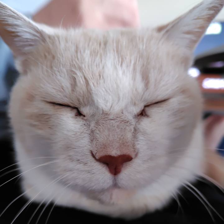 C27df1e8 9a12 407a b2ca 682be4a1b63e 1734820391430