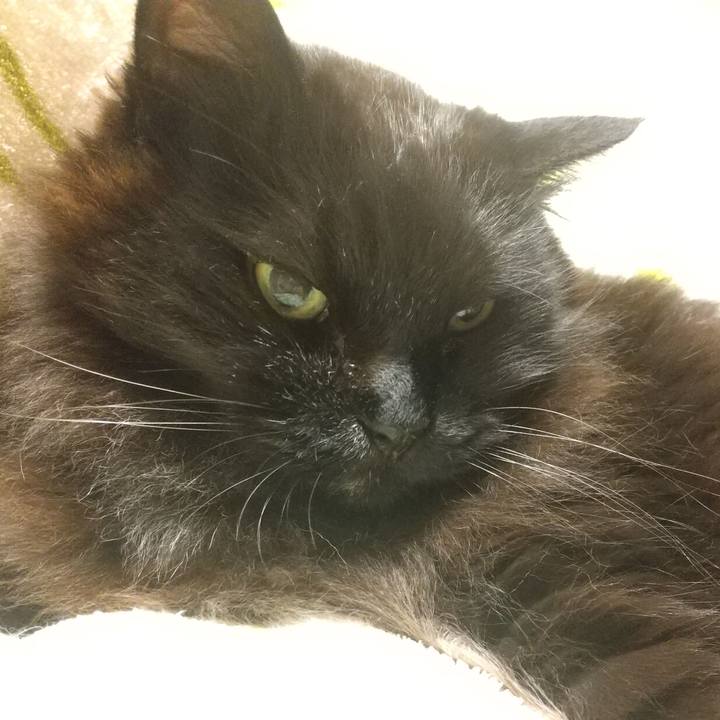 C27e05cb 3d74 48b3 acd7 5cc75c519ba7 1653223561356