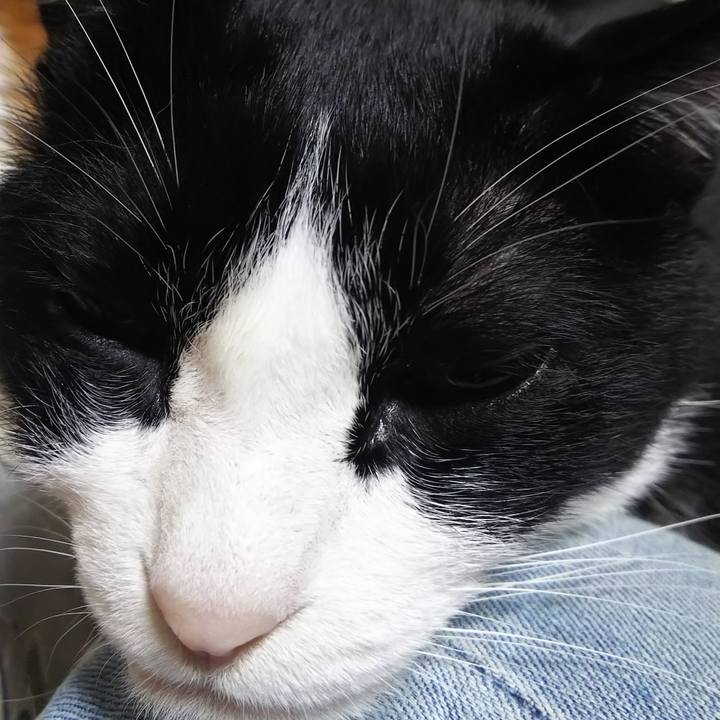 C27e0eda d190 47b4 9f4e 1c075a9e946d 1589889347517