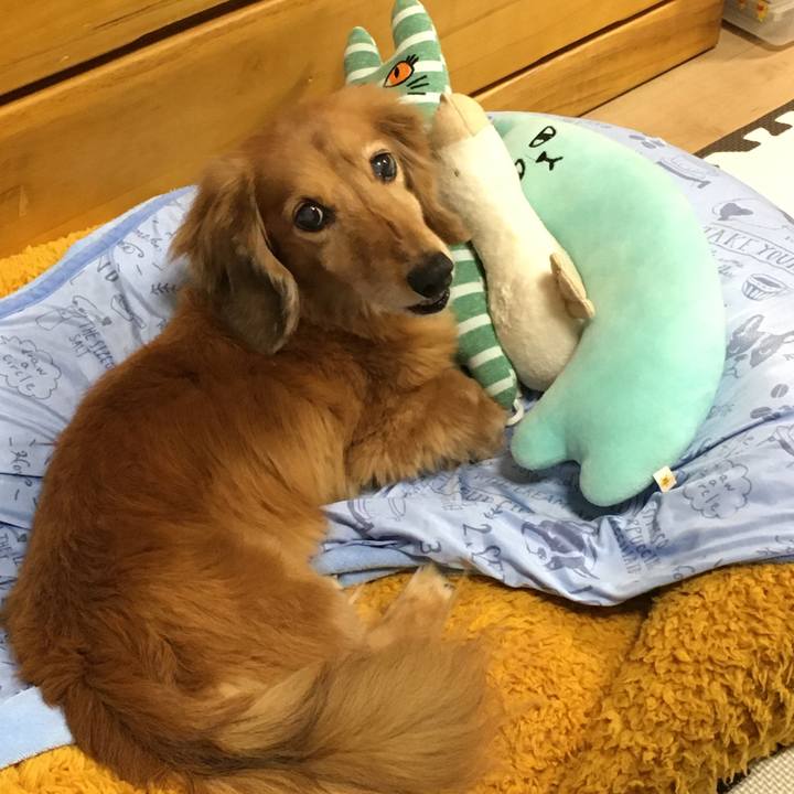 C27e2c9b fa7c 4a3d 8b33 db83dedb172d 1623419025262