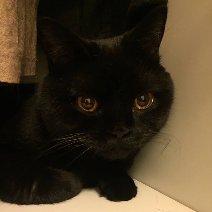 C27e2d2e a620 414f 96f3 cbe2762c2da7 1596367890153