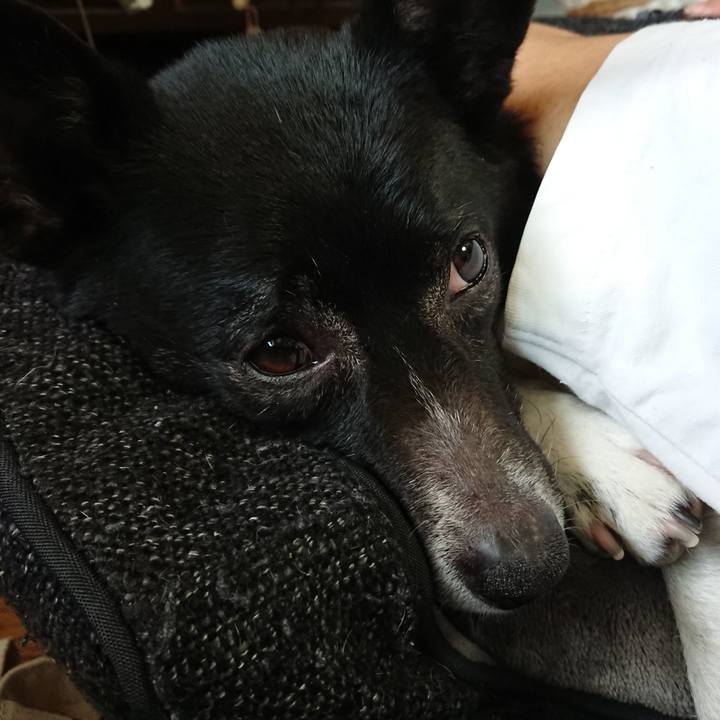 C27e38b4 4d72 454b 80a1 c213f91c9d90 1557024332661